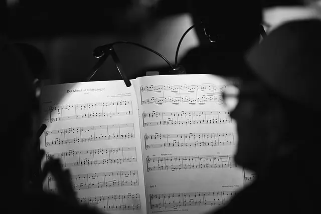 Las tendencias emergentes en festivales de música que debes conocer
