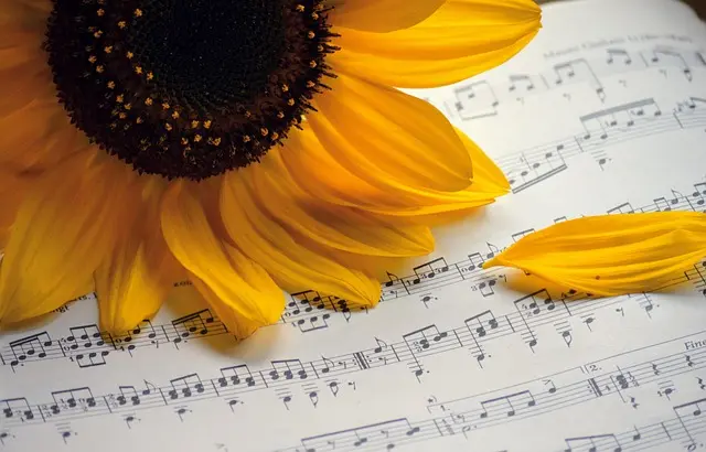Tendencias actuales en la música que debes conocer