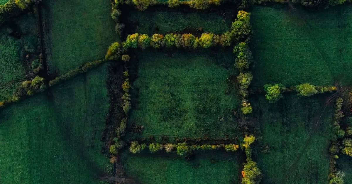 Cómo los drones están influyendo en la industria audiovisual