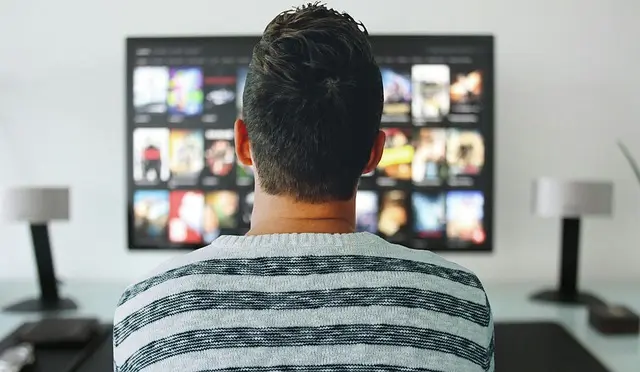 Novedades en plataformas de streaming para disfrutar este año